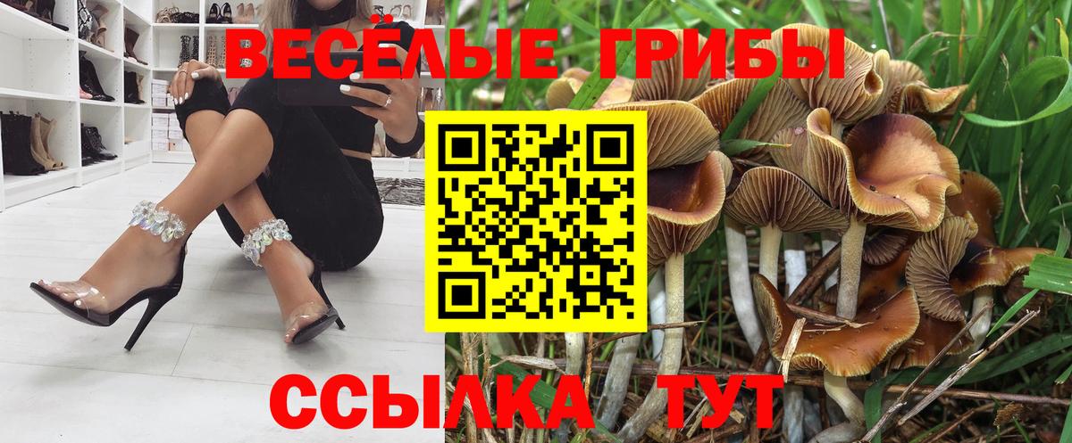 Ирбит  Галлюциногенные грибы Magic Shrooms  Вход с VPN 