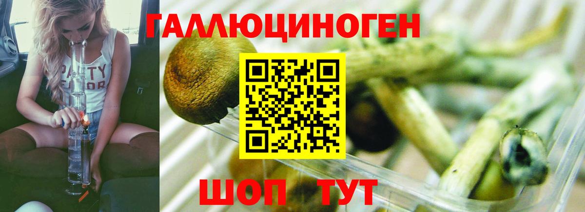 Псилоцибиновые грибы Cubensis Ирбит